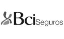 BCI seguros 2